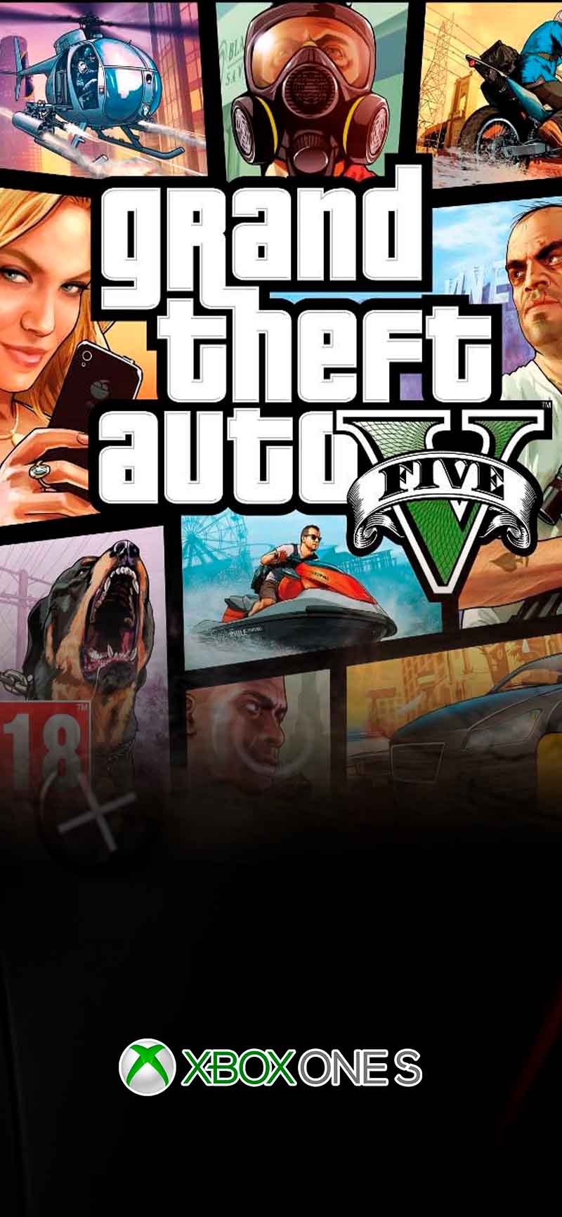 Jogo 11